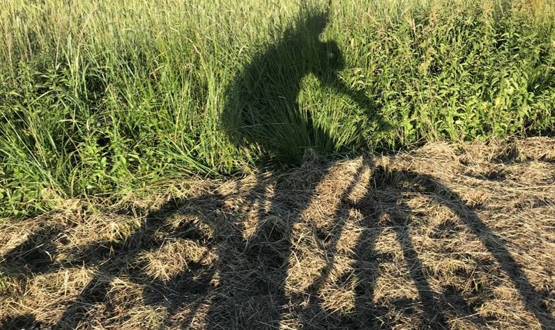 Ein Bild, das drauen, Gelnde, Schatten, Boden enthlt.

Automatisch generierte Beschreibung